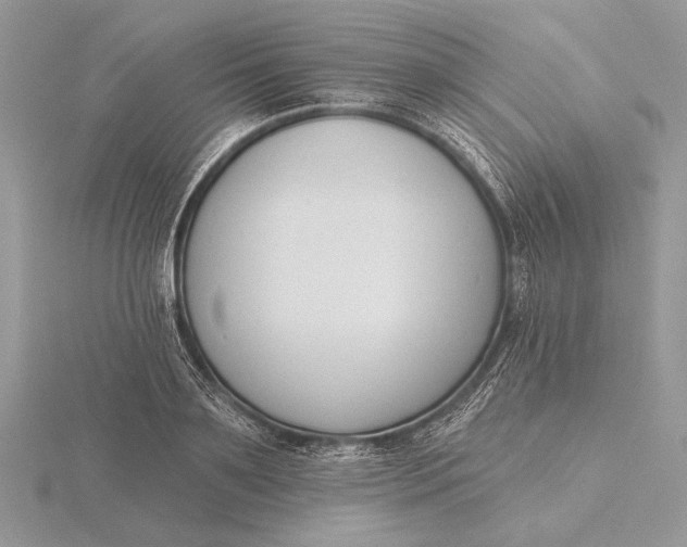 X0000116150891200912071301