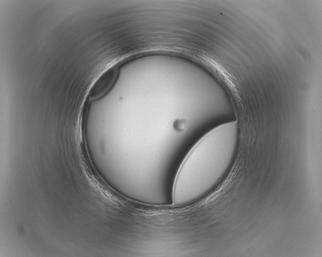 X0000116150892200912071301