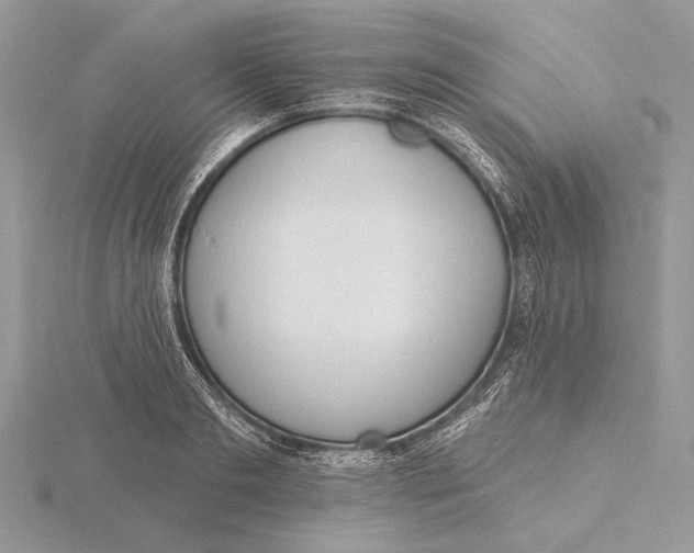 X0000116150893200912071301