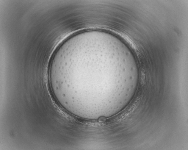 X0000116150895200912071301