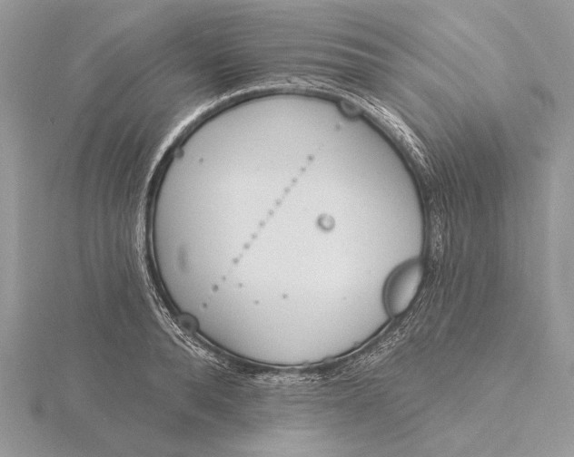 X0000116150896200912071301