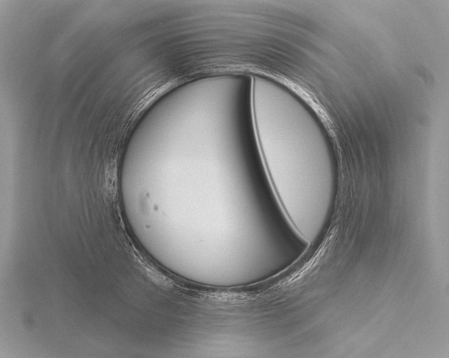 X0000116150897200912071301