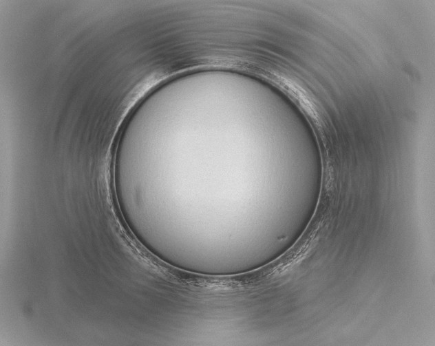 X0000116150899200912071301