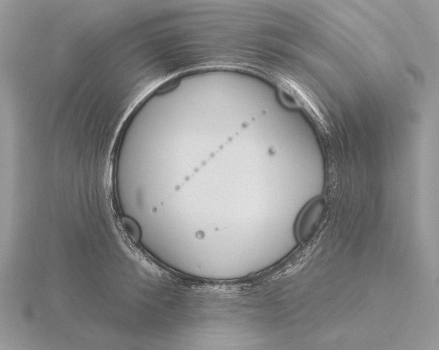 X0000116150900200912071301