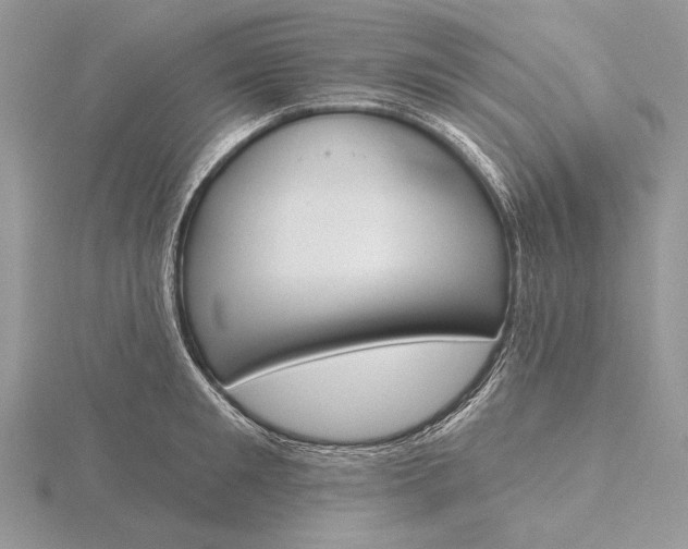 X0000116150901200912071301