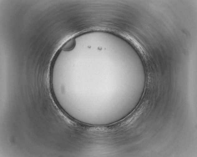 X0000116150902200912071301