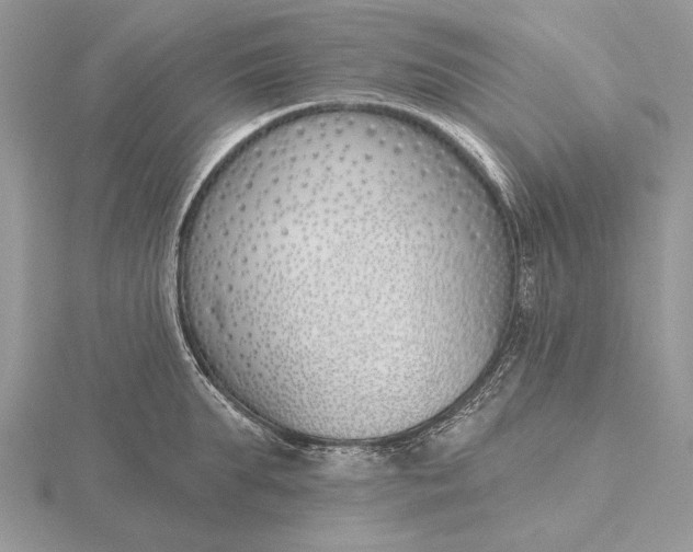 X0000116150903200912071301