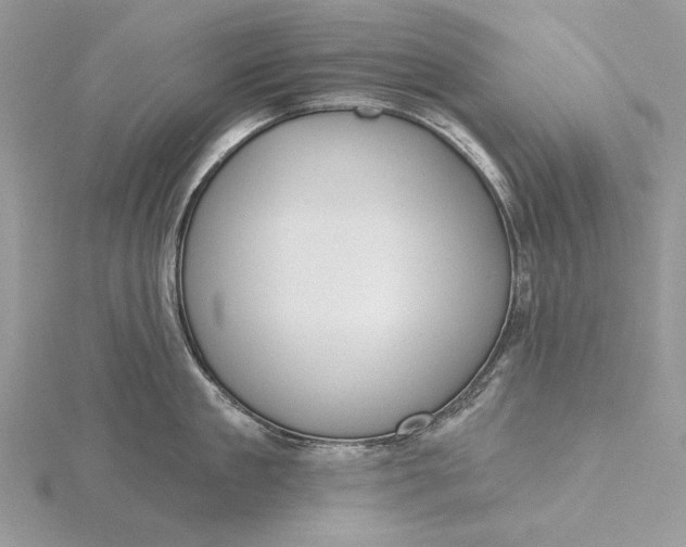 X0000116150909200912071301