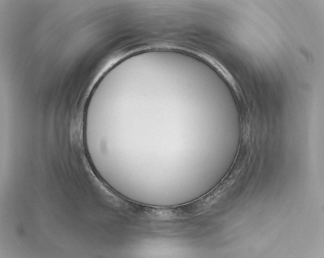 X0000116150911200912071301