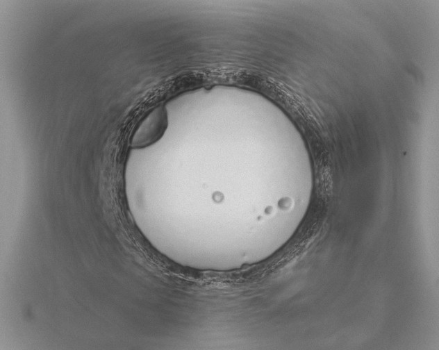 X0000116150913200912071300