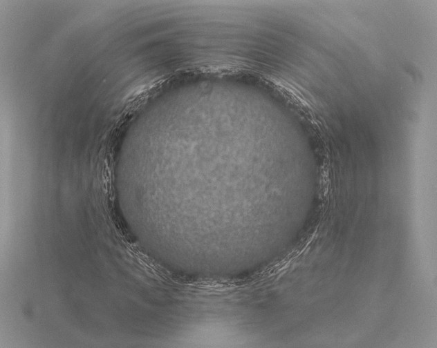 X0000116150917200912071300