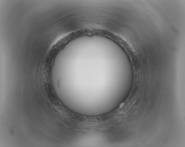 X0000116150919200912071300