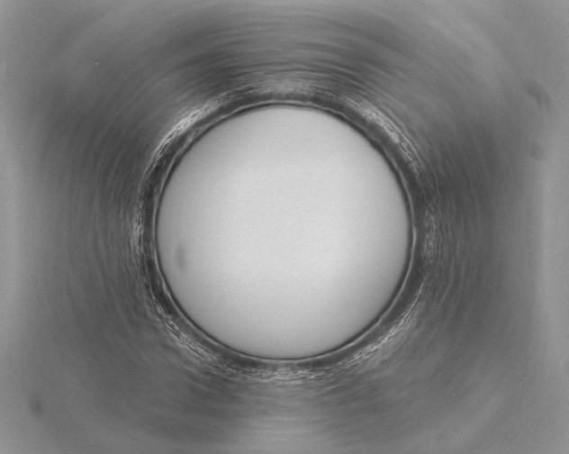 X0000116150922200912071300