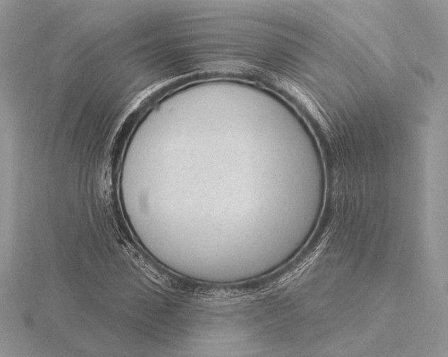 X0000116150923200912071300