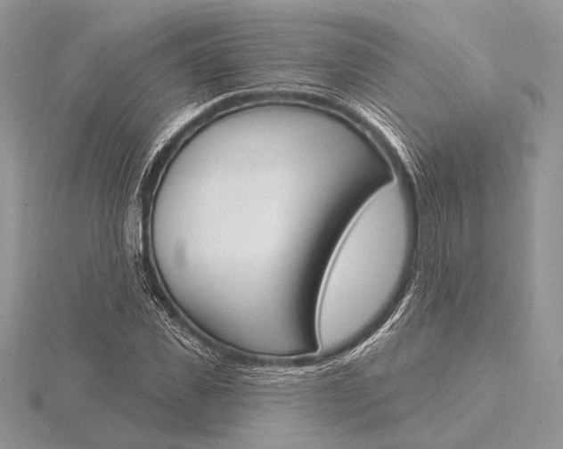 X0000116150925200912071300