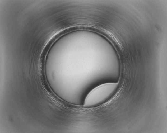 X0000116150926200912071300