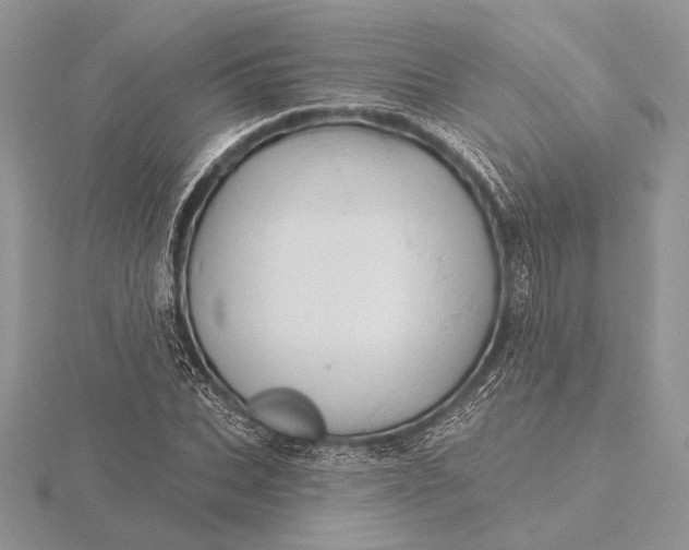 X0000116150927200912071300