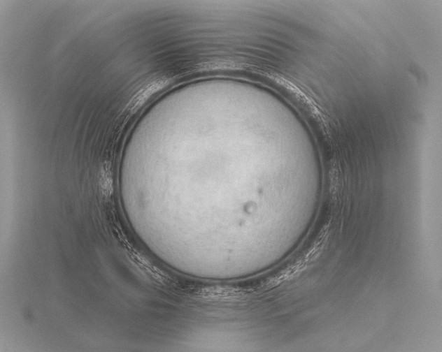 X0000116150929200912071300