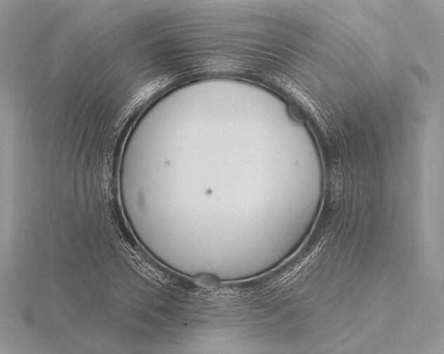 X0000116150930200912071300