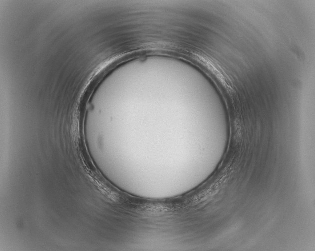 X0000116150931200912071300