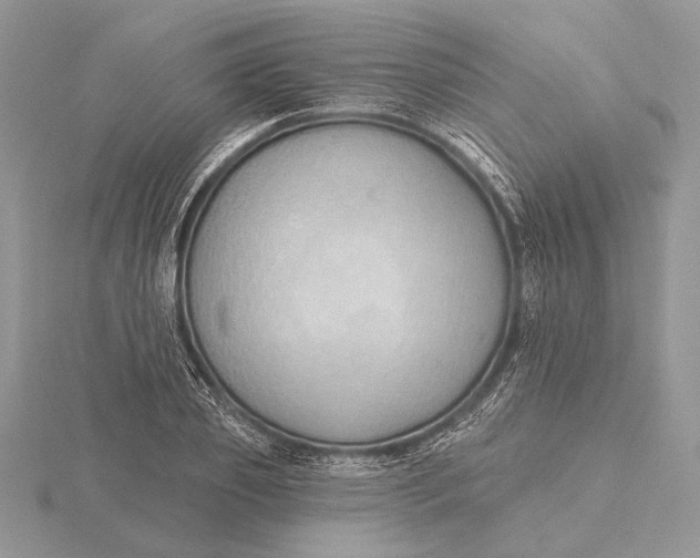 X0000116150933200912071300