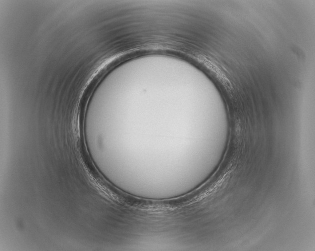 X0000116150934200912071300