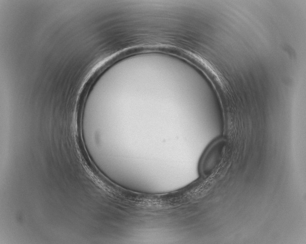 X0000116150935200912071300