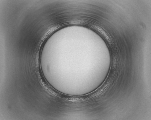 X0000116150938200912071300