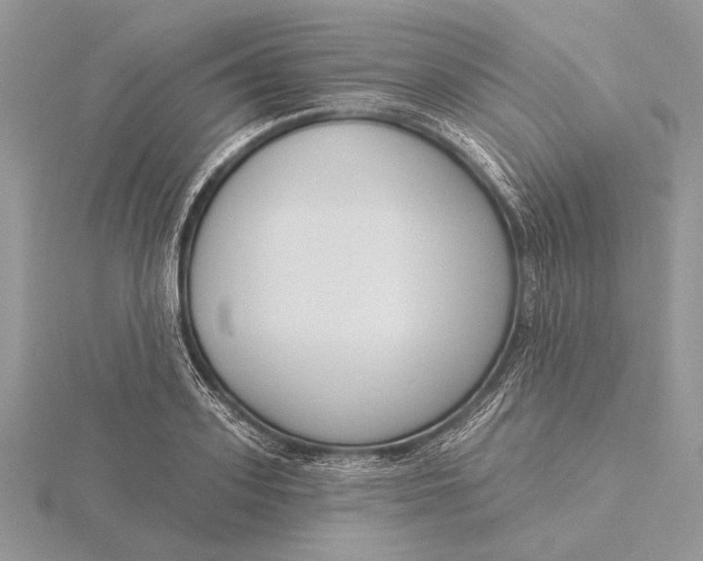 X0000116150939200912071300