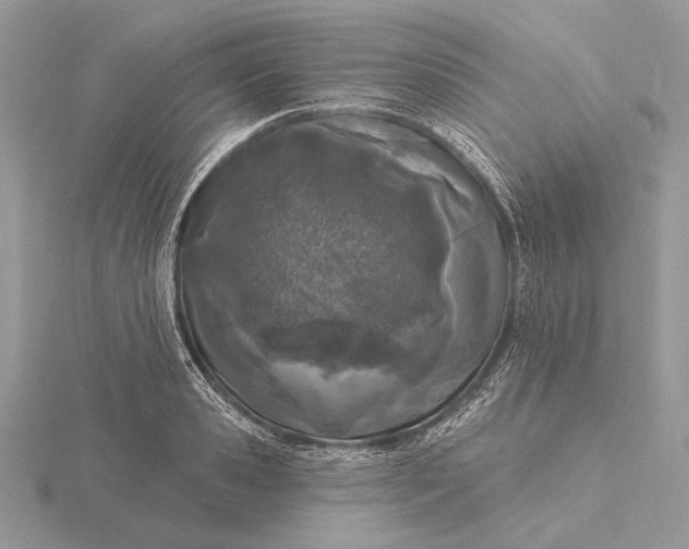 X0000116150941200912071300