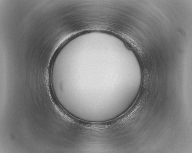 X0000116150942200912071300