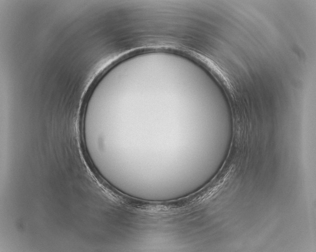 X0000116150943200912071300