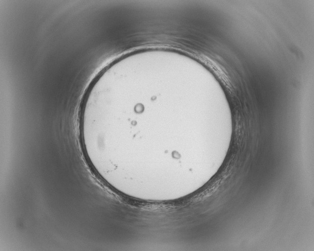 X0000116150950200912071301