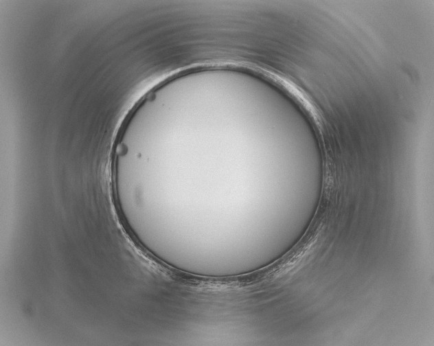 X0000116150951200912071301