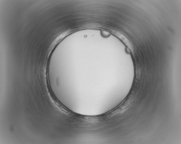 X0000116150954200912071301