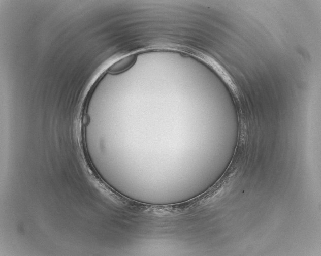 X0000116150955200912071301