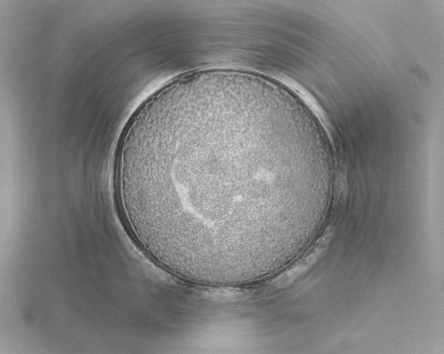 X0000116150957200912071301