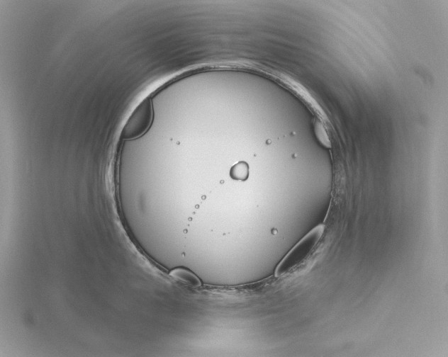 X0000116150959200912071301