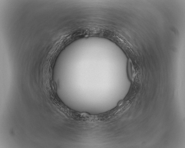 X0000116150961200912071300