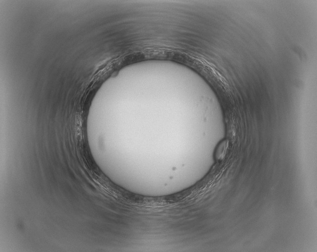 X0000116150964200912071300