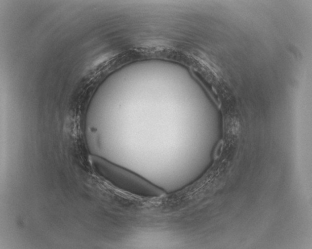 X0000116150965200912071300