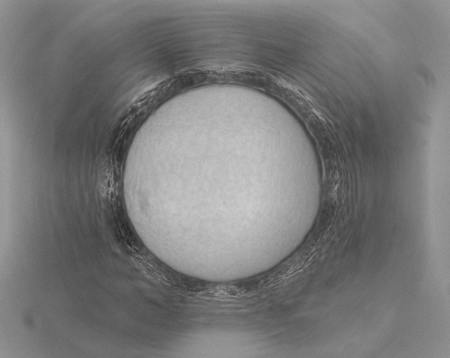 X0000116150966200912071300