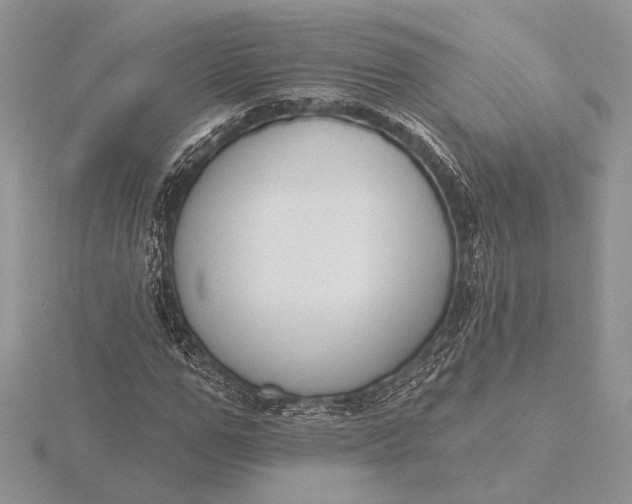 X0000116150967200912071300