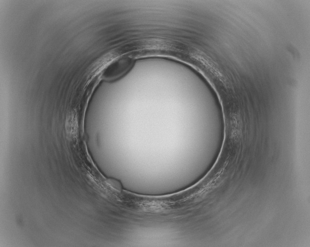 X0000116150969200912071300