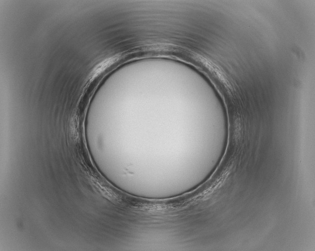 X0000116150970200912071300