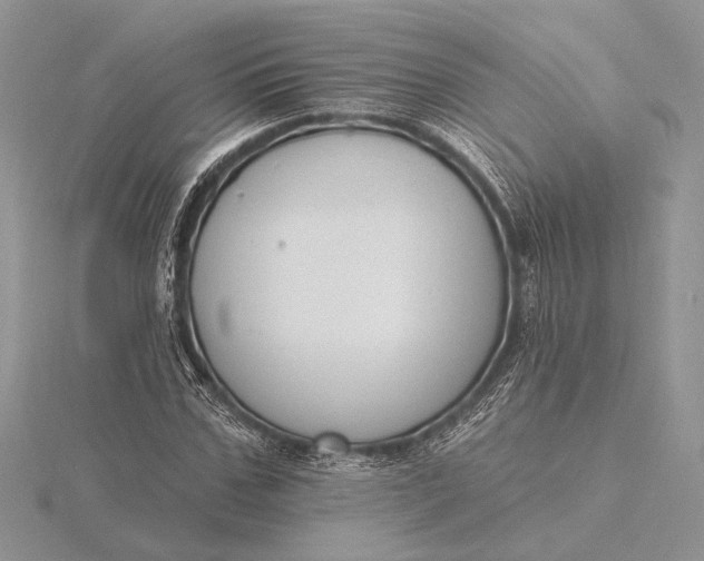 X0000116150971200912071300