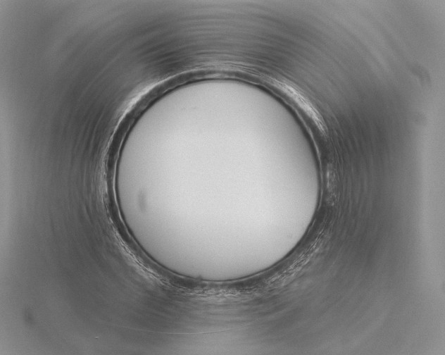 X0000116150972200912071300