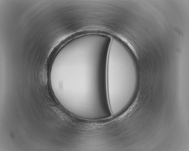 X0000116150973200912071300