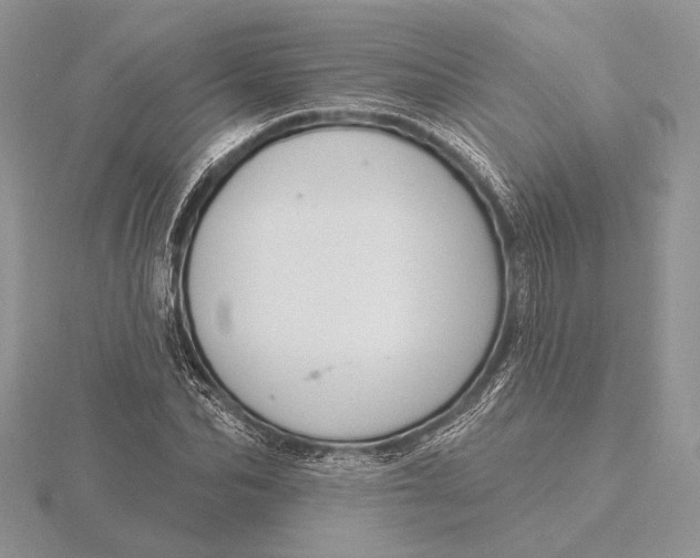 X0000116150974200912071300