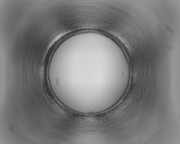 X0000116150975200912071300